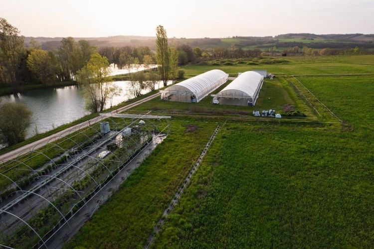 Une vue aérienne des serres et du champ de cultures de Guillaume Beaudoin en pleine campagne à Saint-Paul-de-Baïse